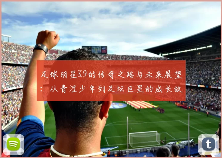 足球明星K9的传奇之路与未来展望：从青涩少年到足坛巨星的成长故事