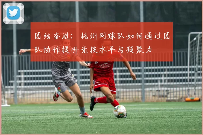 团结奋进：杭州网球队如何通过团队协作提升竞技水平与凝聚力