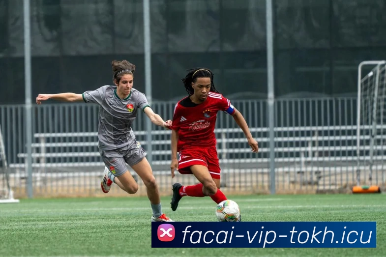 星空体育发展历程